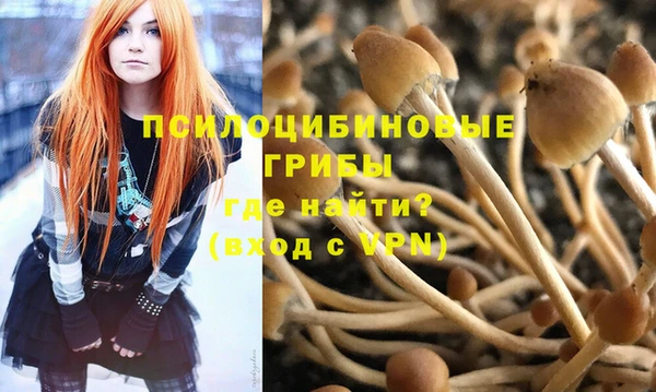 гидра Коряжма