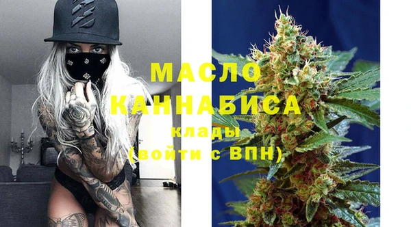 гидра Коряжма