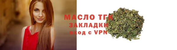 гидра Коряжма