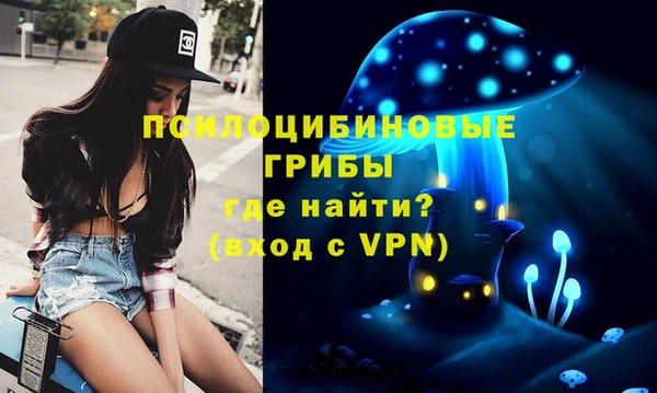 гидра Коряжма