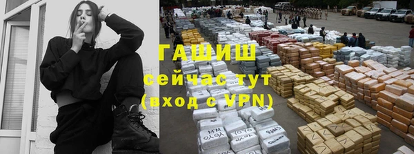гидра Коряжма