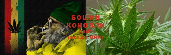 гидра Коряжма