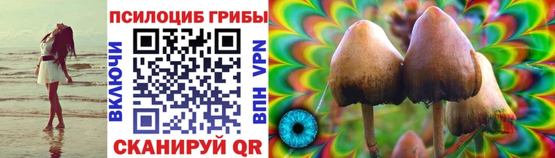 Псилоцибиновые грибы ЛСД  блэк спрут вход  Михайловка 