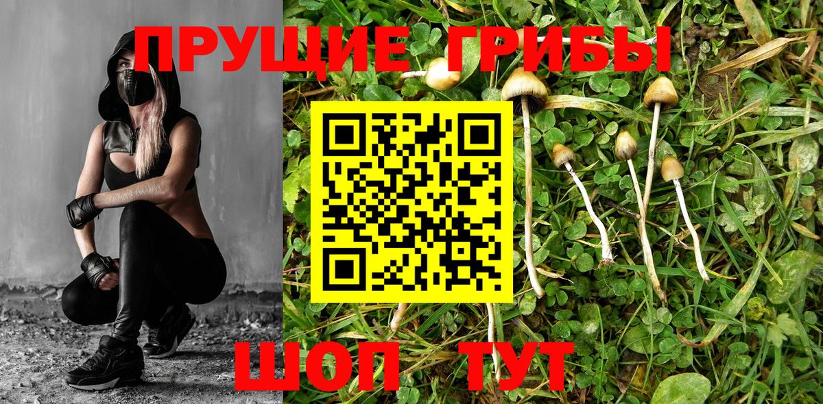 Галлюциногенные грибы мухоморы Михайловка