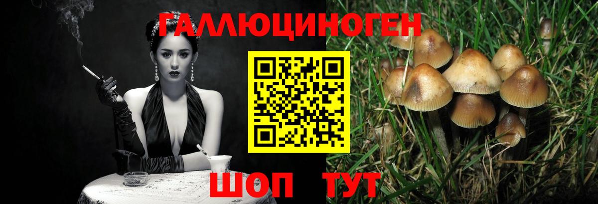 Псилоцибиновые грибы Psilocybe  Вход с VPN  Галлюциногенные грибы Cubensis  Михайловка 